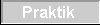 praktik.gif (307 bytes)