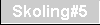 skoling5.gif (321 bytes)